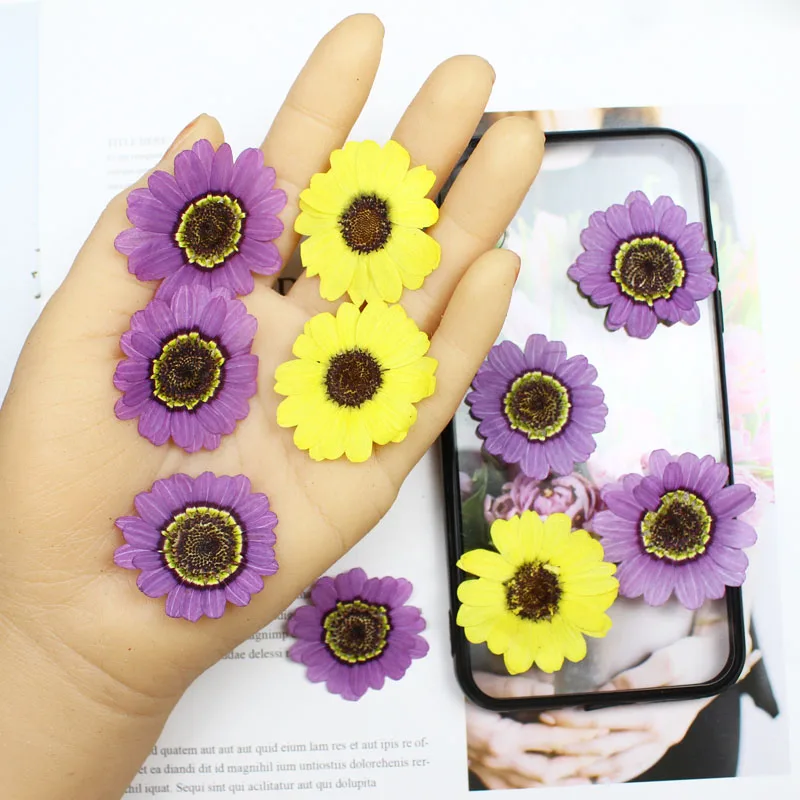 40 قطعة ضغط المجففة 3-5 سنتيمت - مراجعة Yellow Phone Accessories وسعره